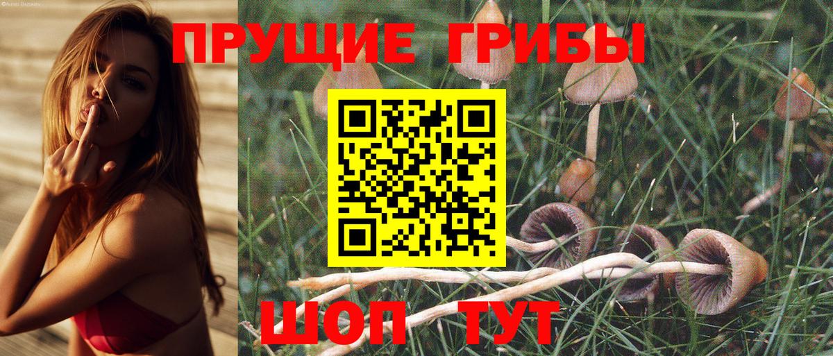 Галлюциногенные грибы GOLDEN TEACHER Сызрань